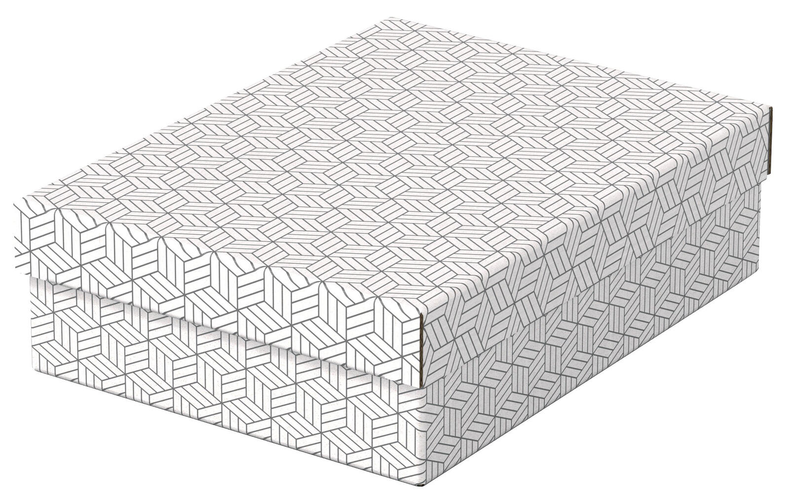 Esselte Aufbewahrungsboxen Home 8,0 l - 26,5 x 36,0 x 10,0 cm weiß
