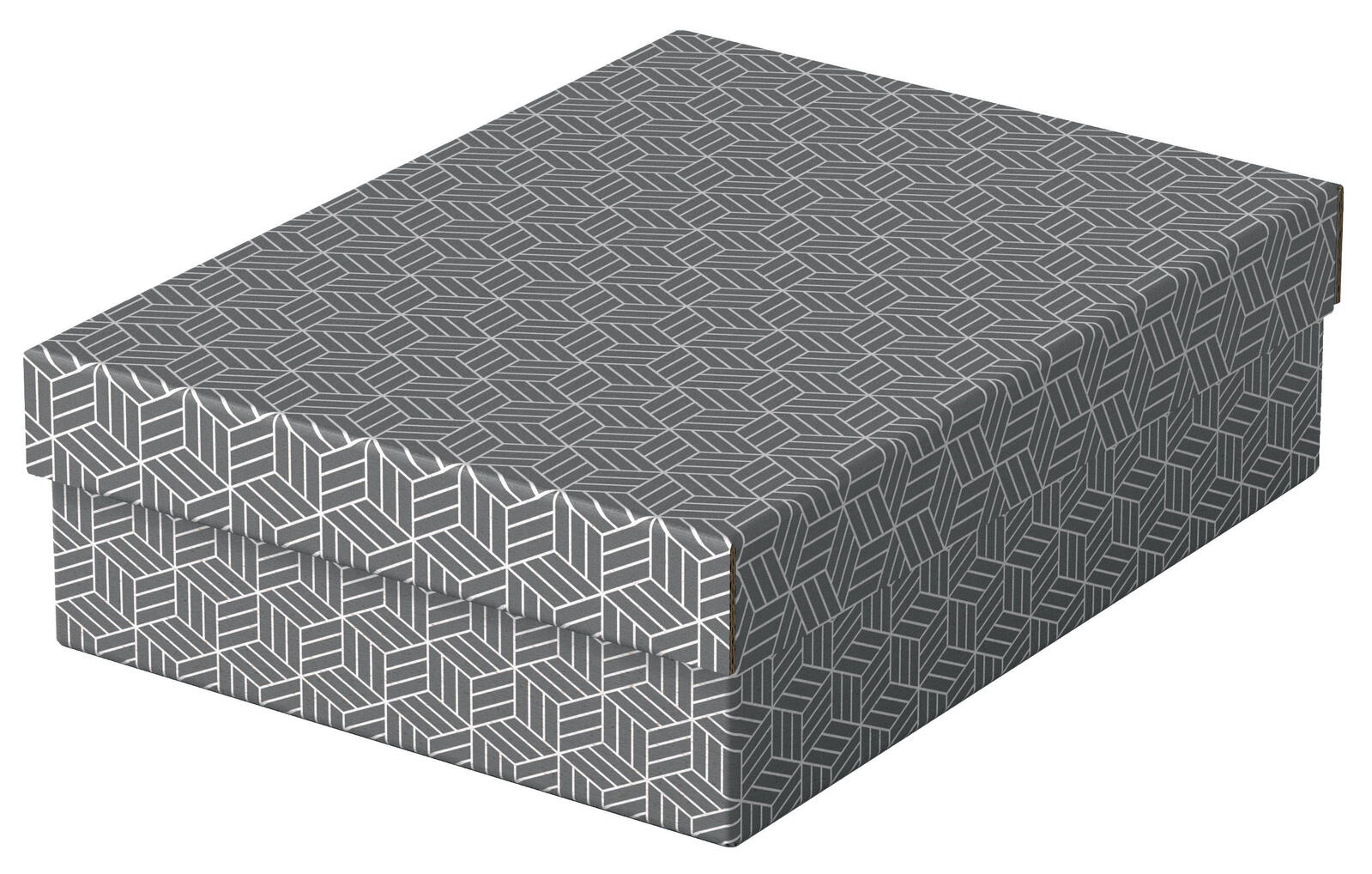 Esselte Aufbewahrungsboxen Home 8,0 l - 26,5 x 36,0 x 10,0 cm grau