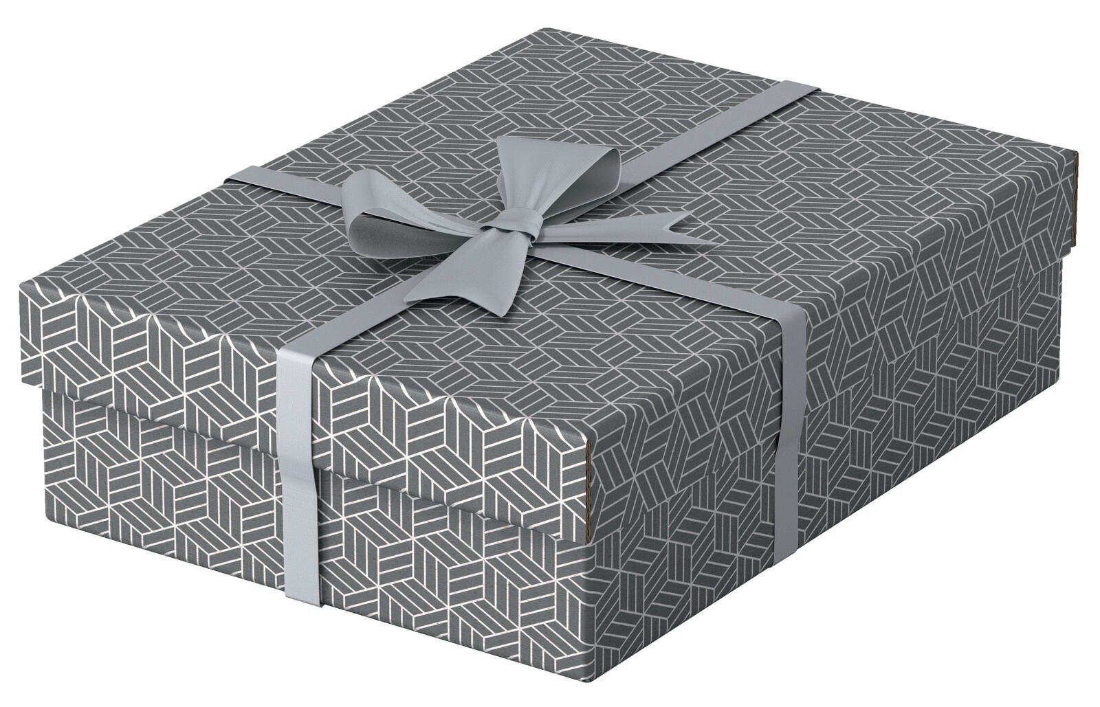 Esselte Aufbewahrungsboxen Home 8,0 l - 26,5 x 36,0 x 10,0 cm grau