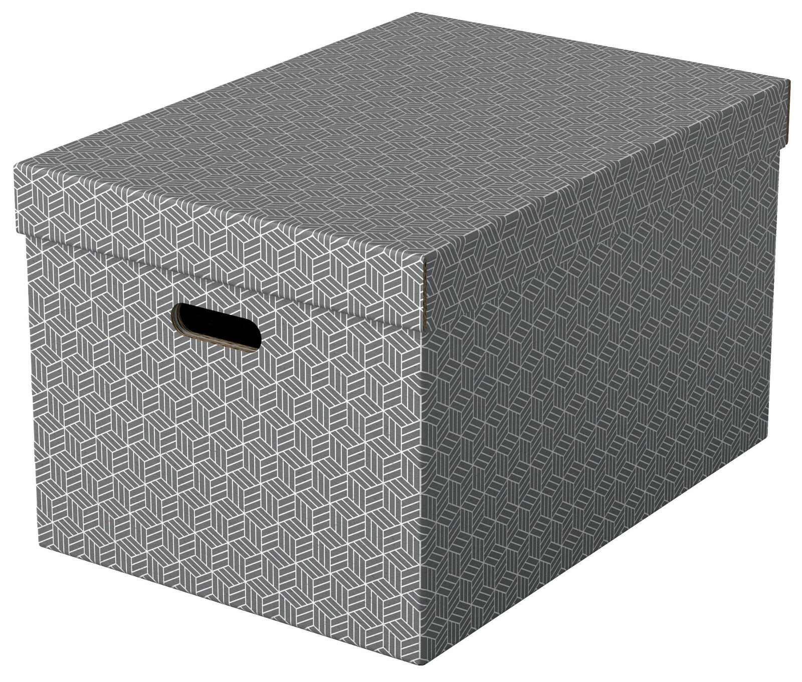 Esselte Aufbewahrungsboxen Home 50,0 l - 35,5 x 51,0 x 30,5 cm grau