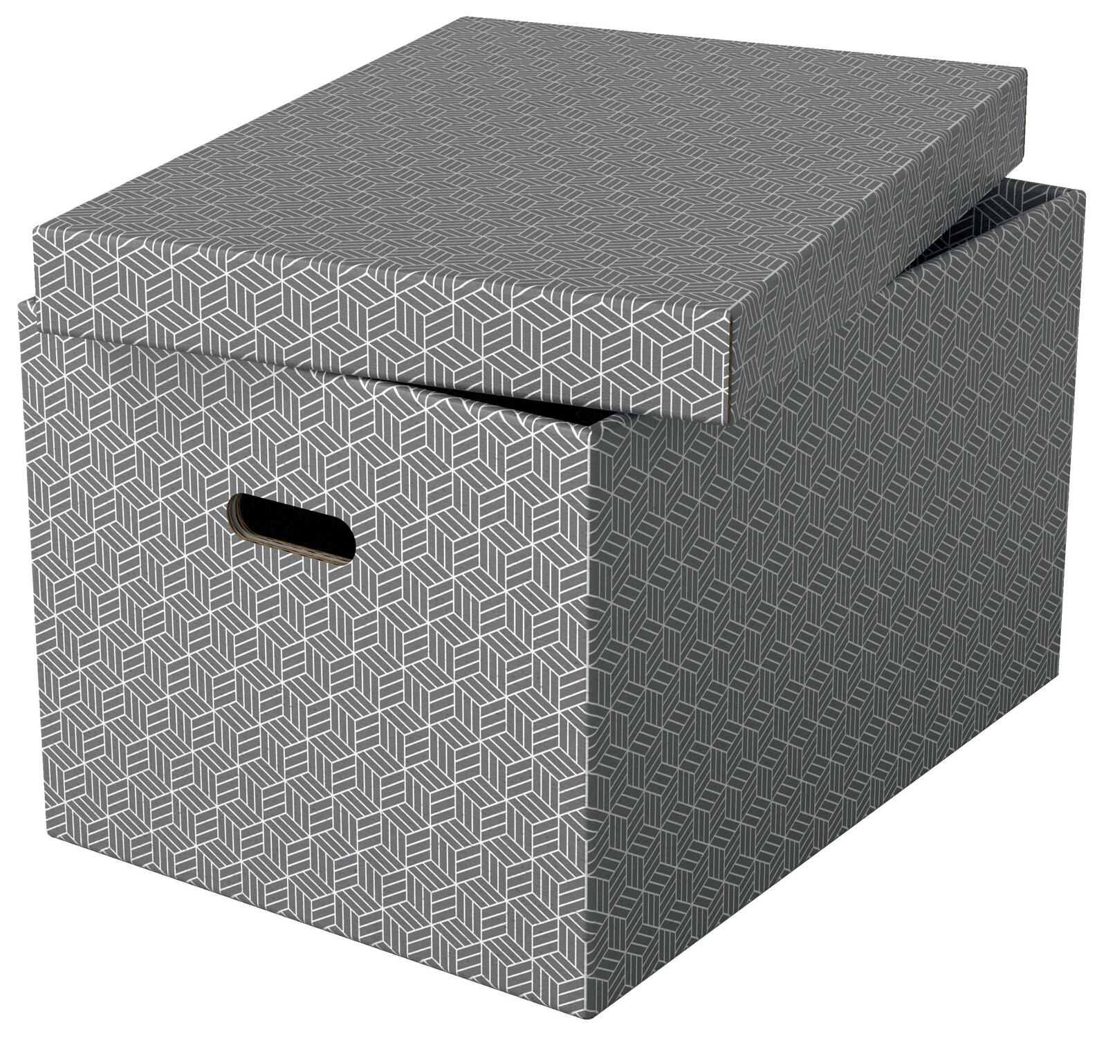 Esselte Aufbewahrungsboxen Home 50,0 l - 35,5 x 51,0 x 30,5 cm grau