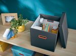 LEITZ Aufbewahrungsbox Click&Store 32,5 l - 32,0 x 36,0 x 31,0 cm grau