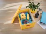 LEITZ Aufbewahrungsbox Click&Store 18,5 l - 28,1 x 37,0 x 20,0 cm gelb