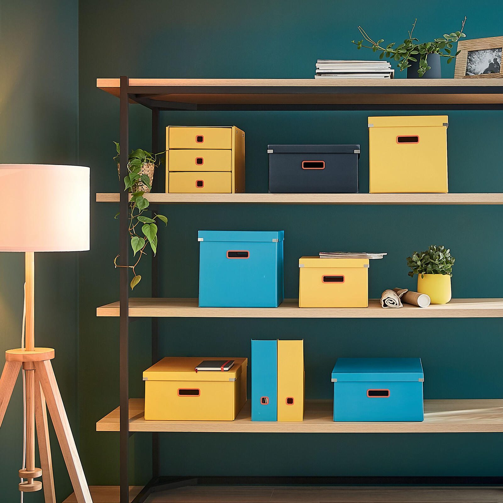 LEITZ Aufbewahrungsbox Click&Store 32,0 l - 36,9 x 48,2 x 20,0 cm blau