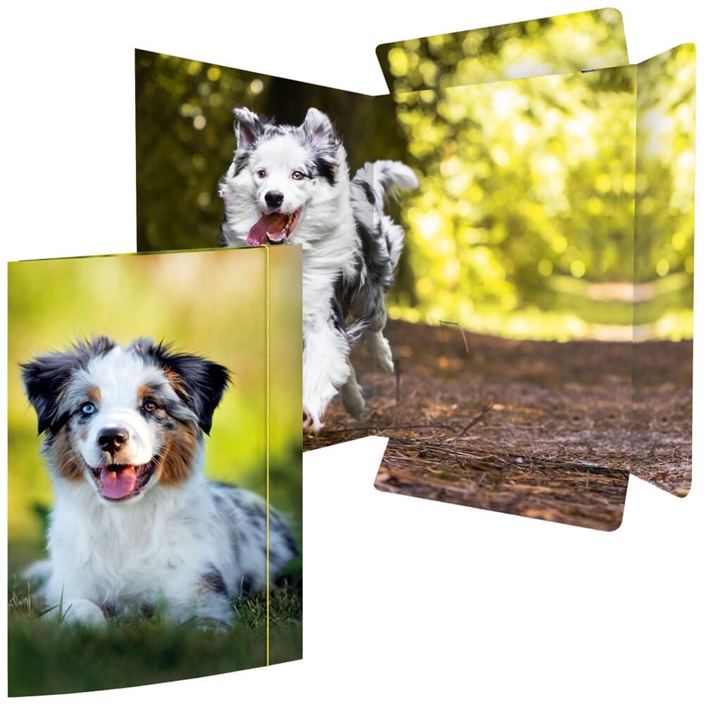 RNK-Verlag Zeichenmappe A3 Hund