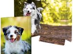 RNK-Verlag Zeichenmappe A3 Hund