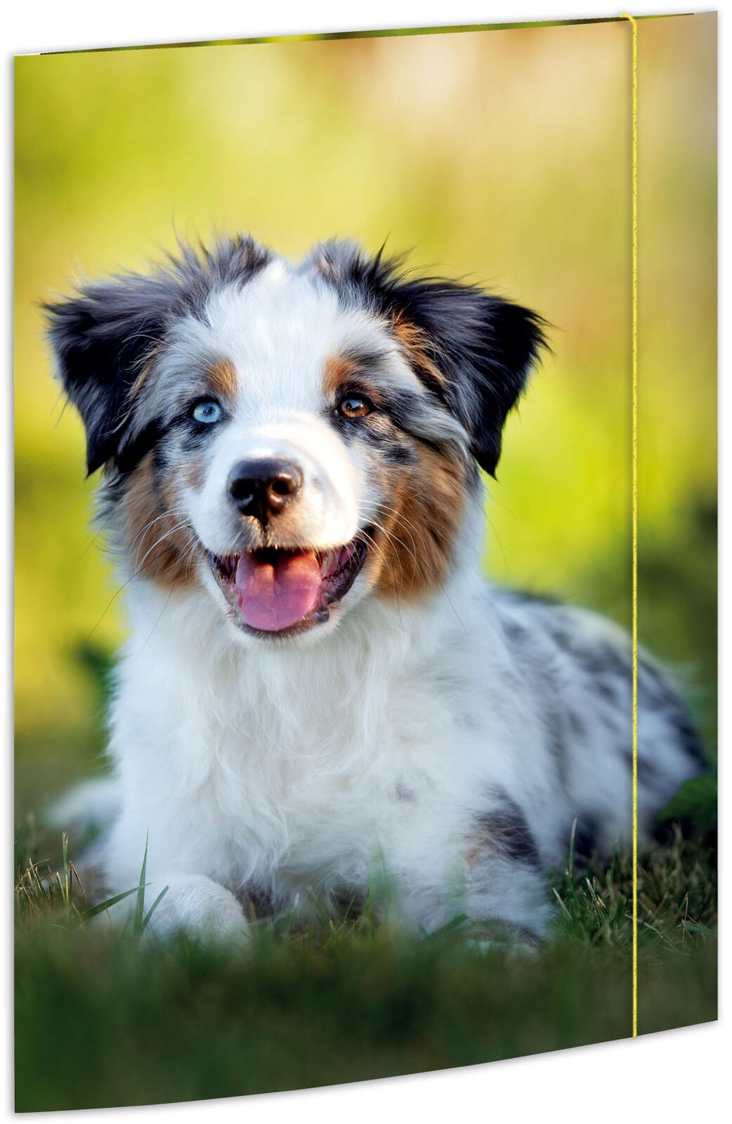 RNK-Verlag Zeichenmappe A3 Hund