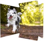 RNK-Verlag Zeichenmappe A3 Hund