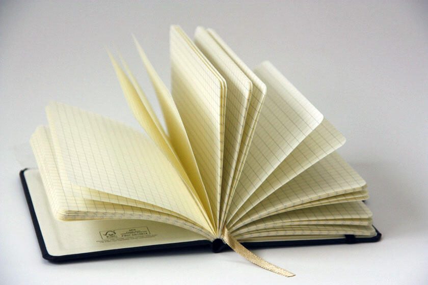 Lediberg Notizbuch ca. DIN A6 kariert, 192 Seiten