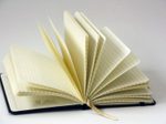 Lediberg Notizbuch ca. DIN A6 kariert, 192 Seiten