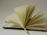 Lediberg Notizbuch ca. DIN A6 kariert, 192 Seiten