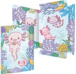 RNK-Verlag Sammelmappe DIN A4 Axolotl