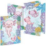 RNK-Verlag Sammelmappe DIN A4 Axolotl