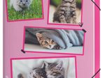 PAGNA Zeichenmappe xoxo DIN A4 Katzen