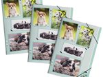 PAGNA Zeichenmappe xoxo DIN A4 Hunde