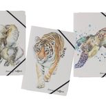 PAGNA Eckspanner Save me DIN A4 Elefant, Tiger, Schildkröte