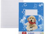 herlitz Schulheft x.book Lineatur 27 liniert DIN A5