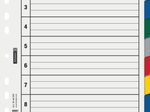 BRUNNEN Ordnerregister Vollformat blanko DIN A4