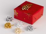PRÄSENT Geschenk-Schleifen 5 mm x 0.95 m silber/gold