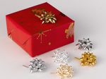 PRÄSENT Geschenk-Schleifen 5 mm x 0.95 m silber/gold