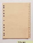 Ordnerregister Vollformat 1-10 DIN A4