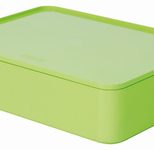 HAN Aufbewahrungsbox 26,0 x 19,5 x 6,8 cm grün