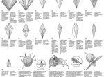 folia Transparentpapier 80 g/m², 12 Blatt