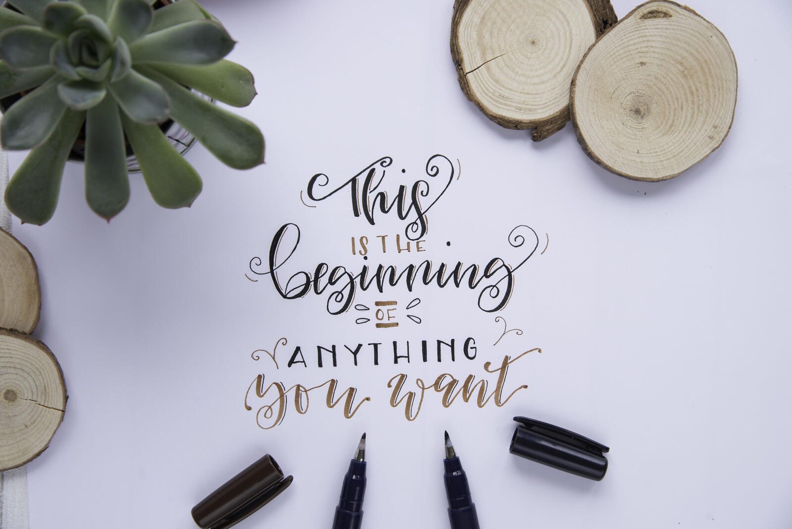 Tombow Brush-Pens Mehrfarbig