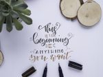 Tombow Brush-Pens Mehrfarbig