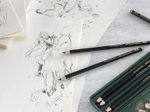 FABER-CASTELL Graphitstifte Pitt Graphite Matt 2B-12B