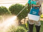 makita Pumpsprühflasche türkis