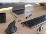 Hama EMC-500L Maus ergonomisch kabelgebunden schwarz