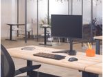 Fellowes Monitor-Halterung Professional Series Single schwarz