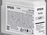 Epson Original Druckerpatrone T47A9 light grau
