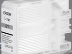 Epson Original Druckerpatrone T47A7 grau