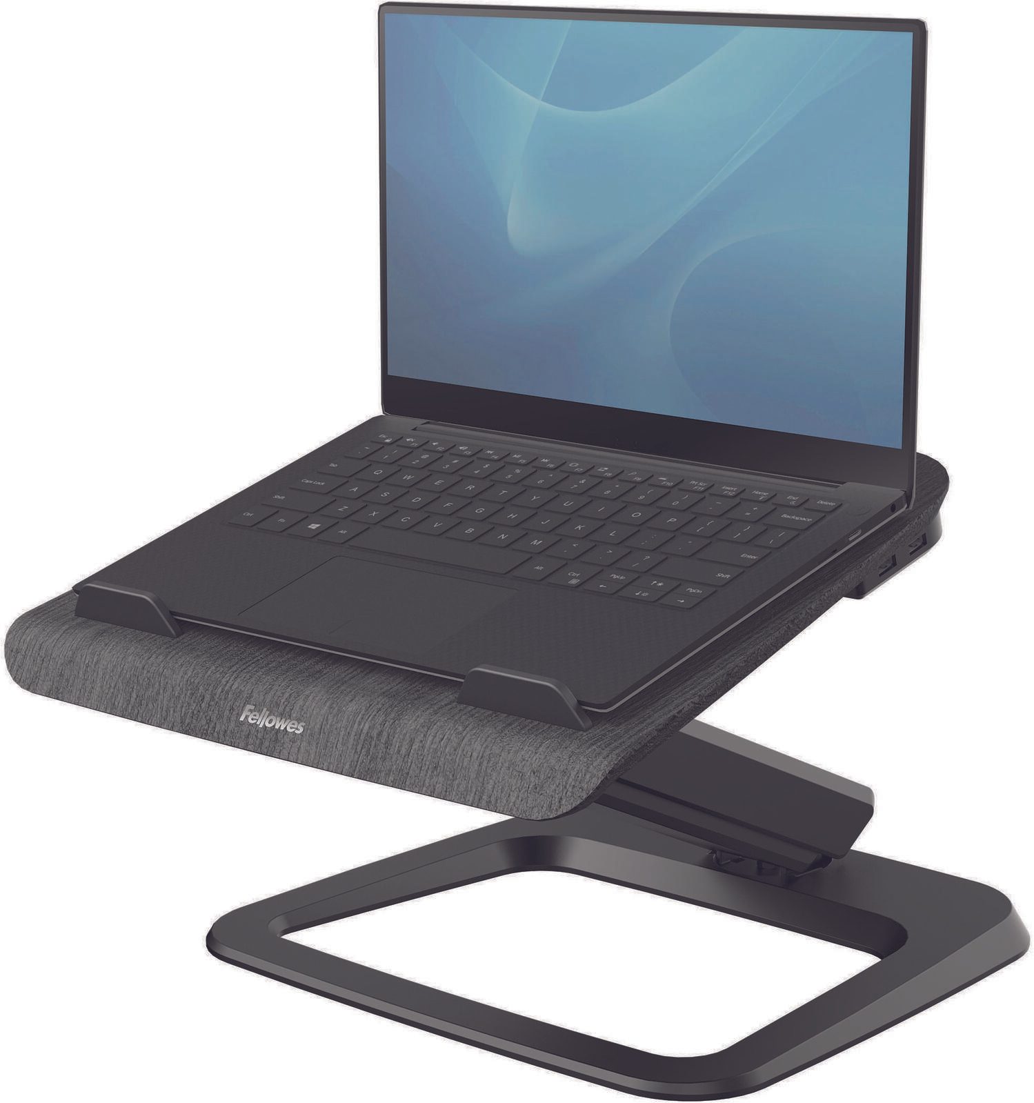 Fellowes Notebook-Ständer hana schwarz