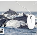 speedlink Mousepad Delfin