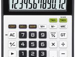 CASIO Tischrechner WD-320MT schwarz/weiß