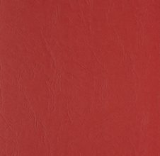 rot