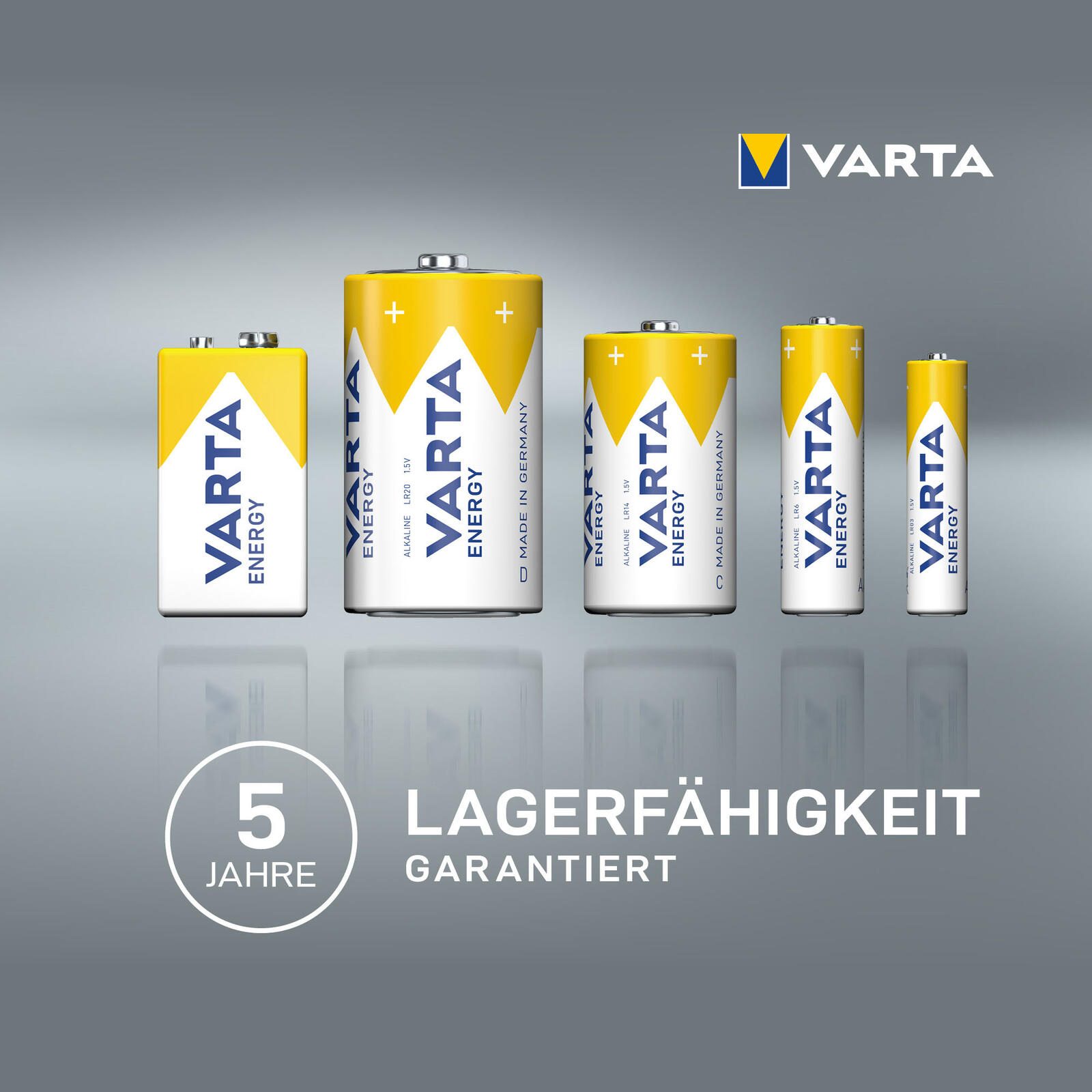 VARTA Batterien Mignon AA 1.5 V