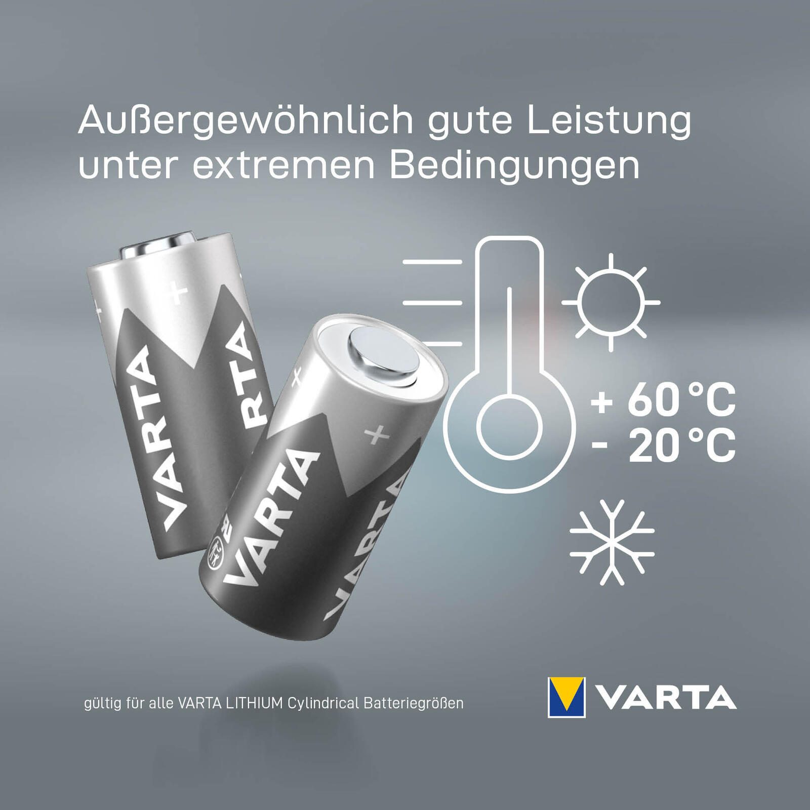 VARTA Batterien Fotobatterie 3 V