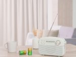 GP Batterien Mono D 1.5 V