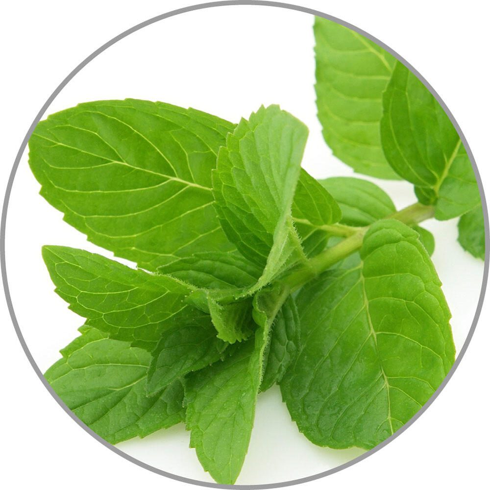 medisana Duftöl Pefferminze 10,0 ml