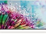 STRONG SRT43UD7593 Smart-TV 108,0 cm (43,0 Zoll)
