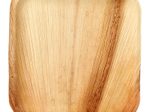 PAPSTAR pure Palmblatt-Teller natur