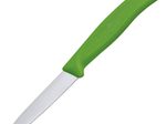 VICTORINOX Gemüsemesser Swiss Classic silber, grün