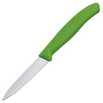 VICTORINOX Gemüsemesser Swiss Classic silber, grün