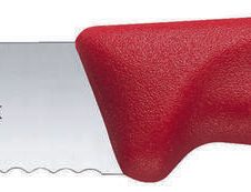 Rot