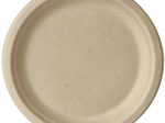 PAPSTAR pure Pappteller natur