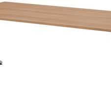 Nussbaum